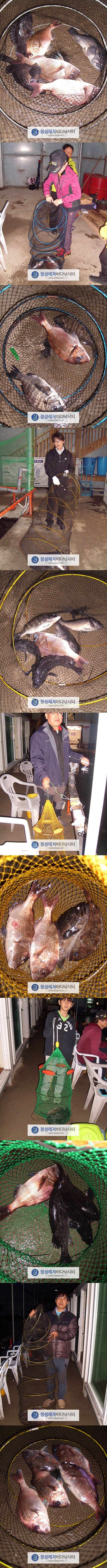 555.jpg