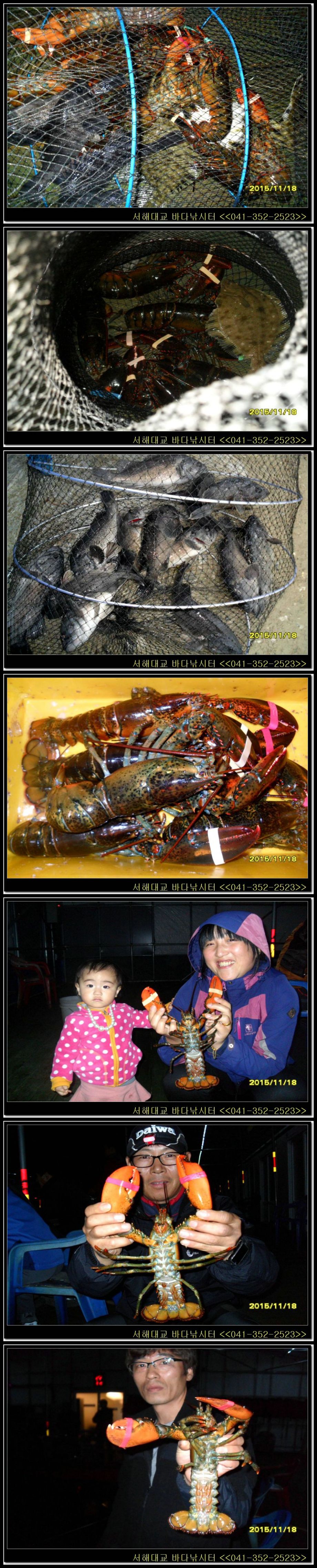 4.jpg