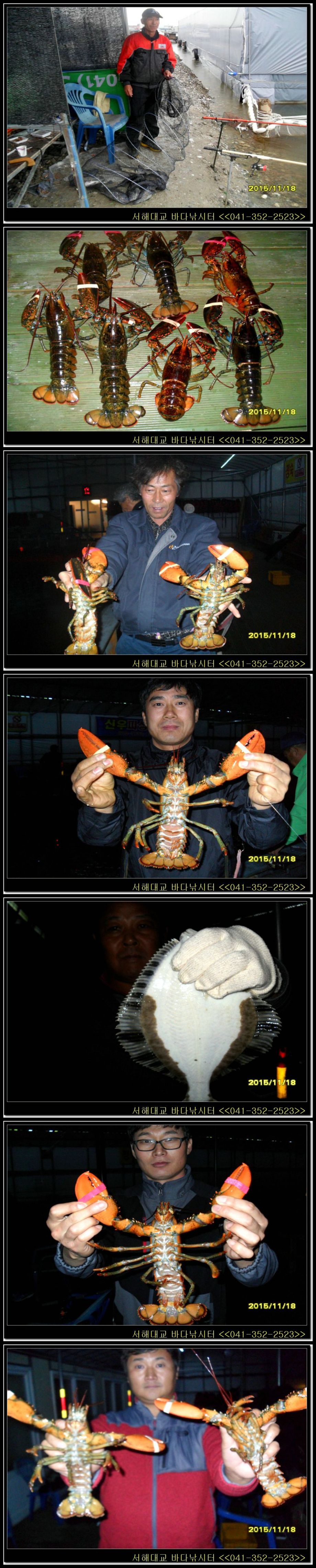 9.jpg