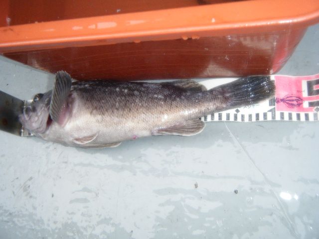 8 029.jpg