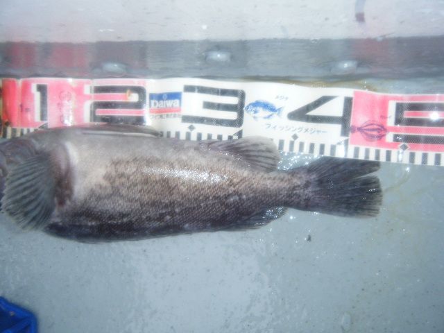 8 034.jpg