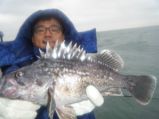8 010.jpg