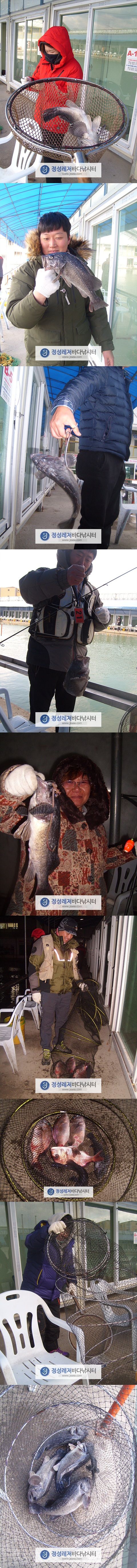 222.jpg