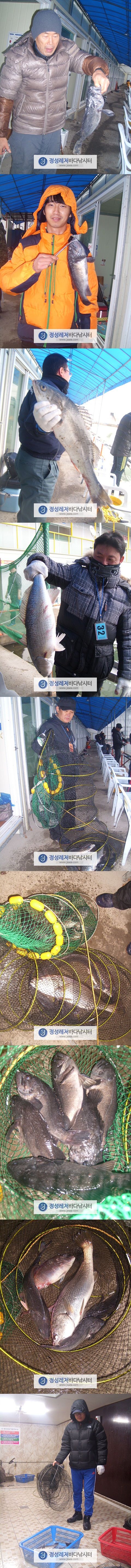 222.jpg