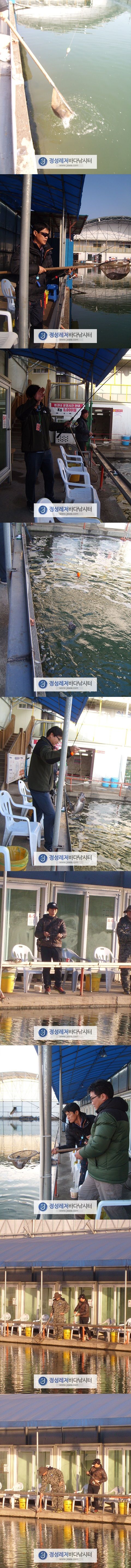 555.jpg