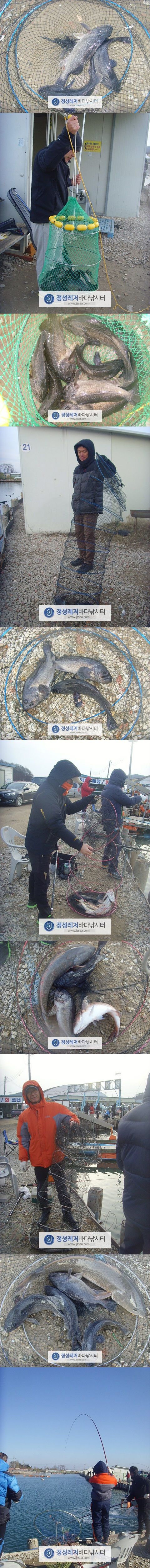 9999.jpg