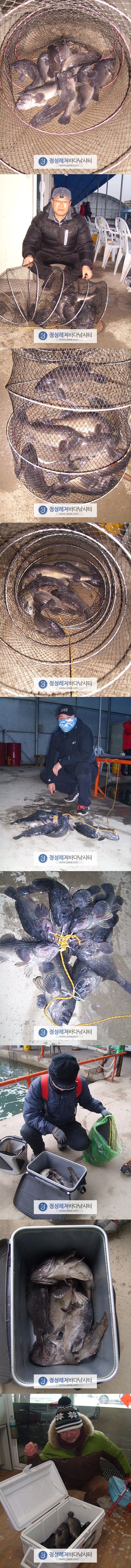 444.jpg
