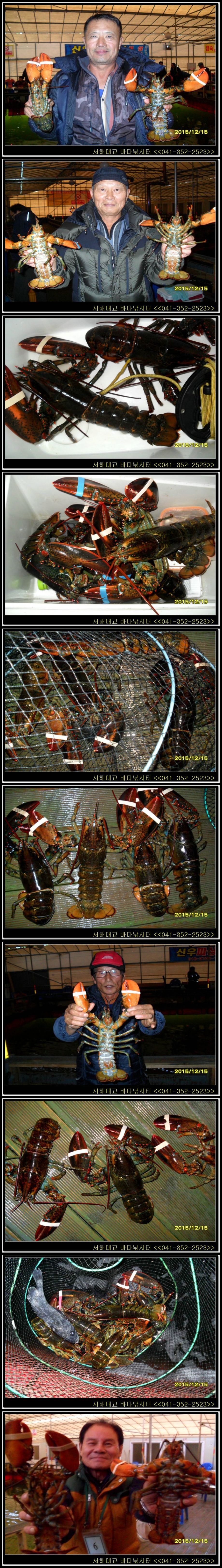 5.jpg