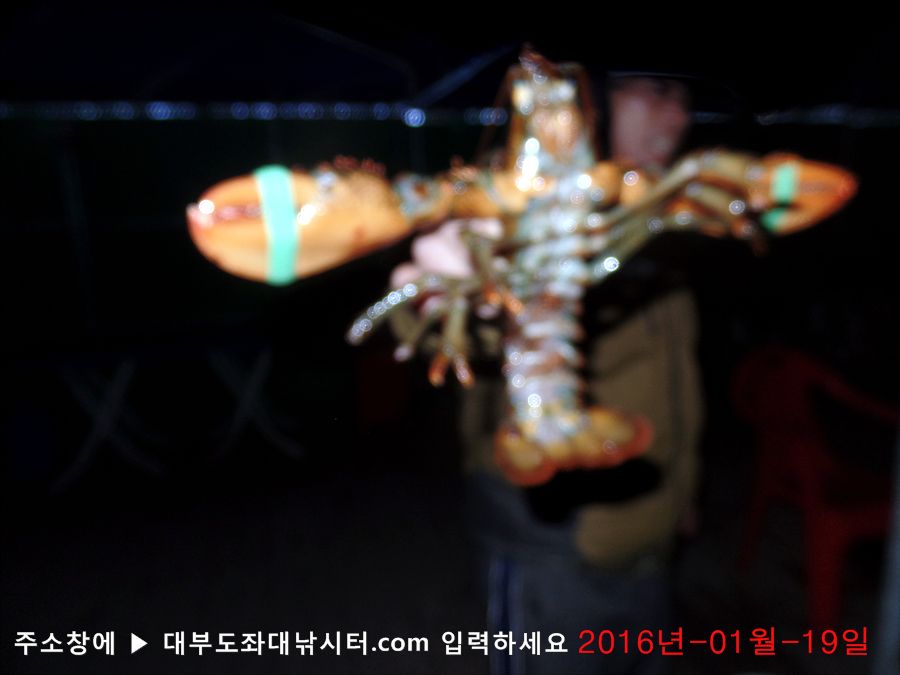 SAM_2309.jpg