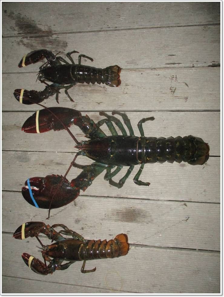 005.JPG