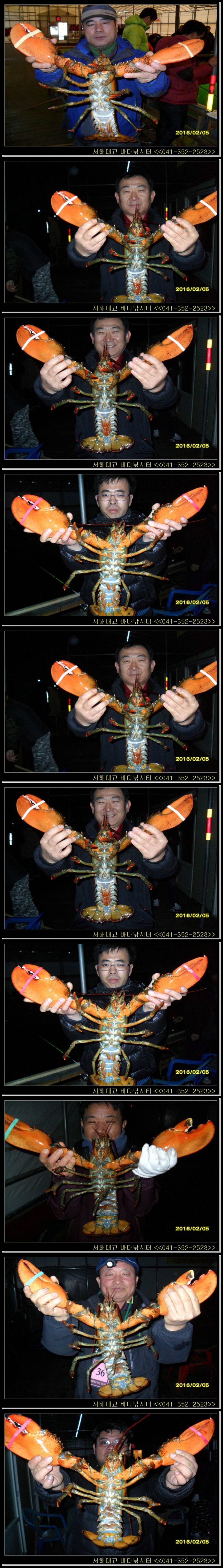 2.jpg