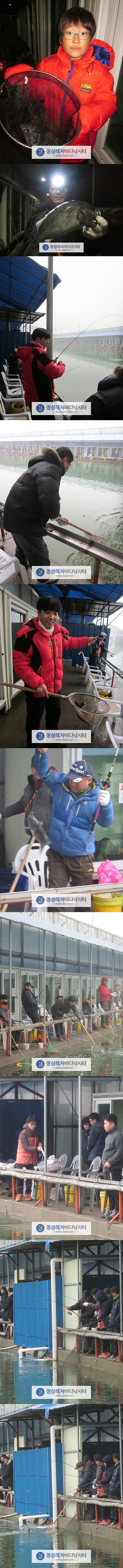 9333.jpg