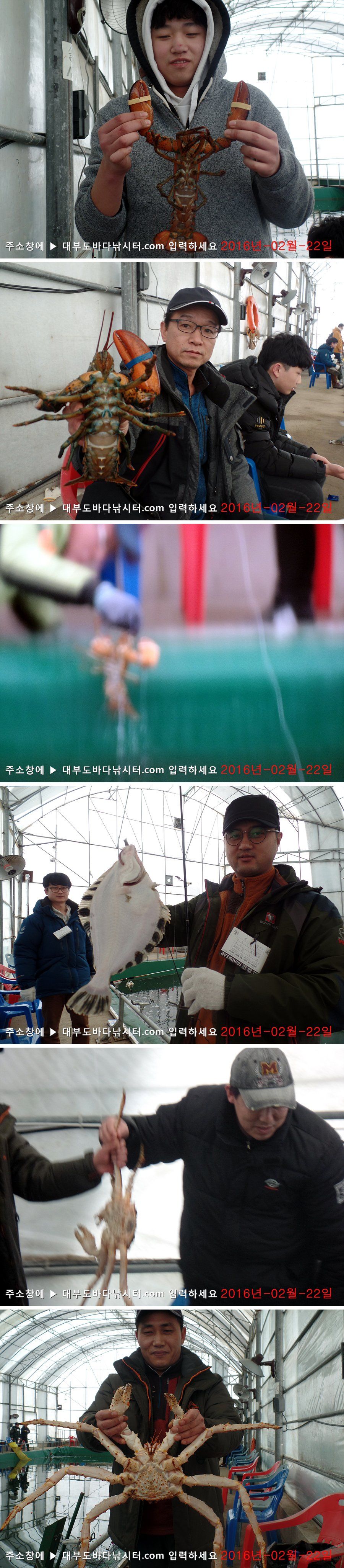 SAM_7295-vert.jpg