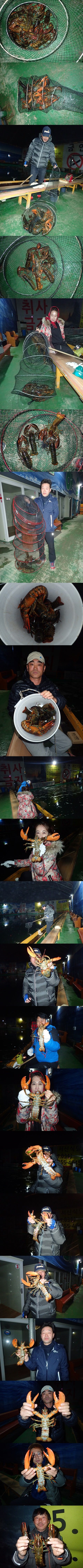 Ͽ콺.jpg