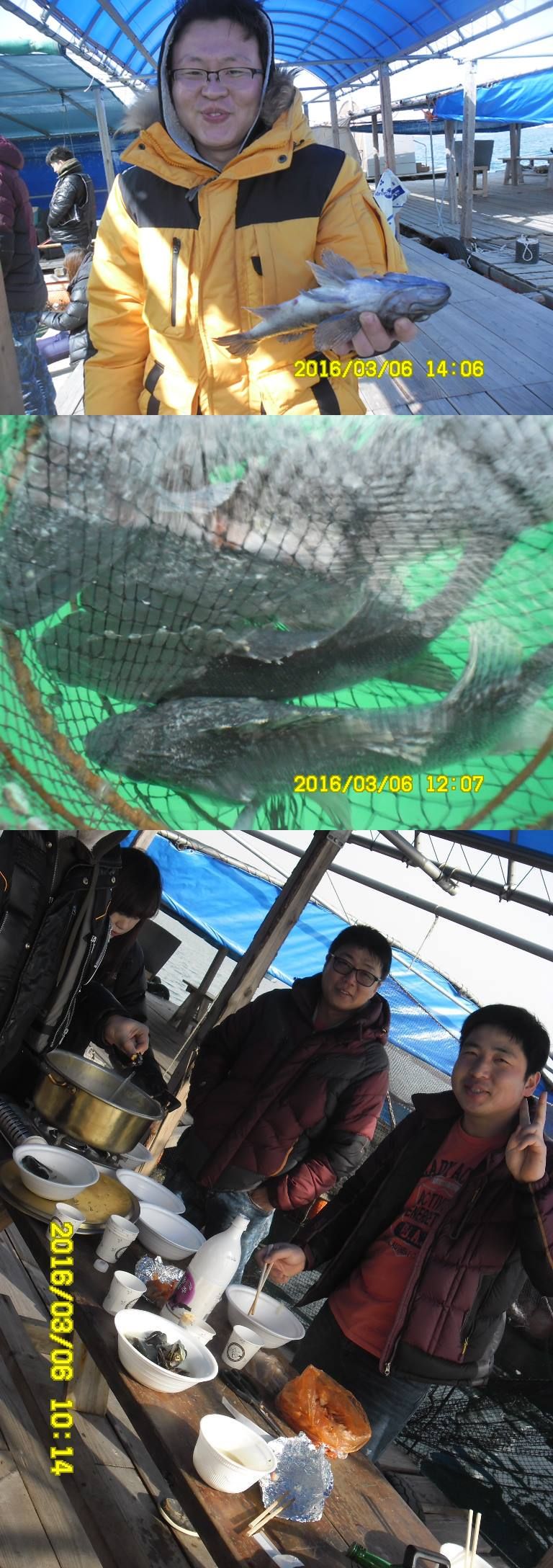 SAM_3951-vert.jpg
