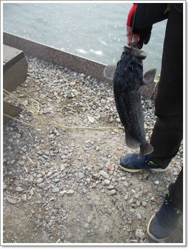 06.JPG