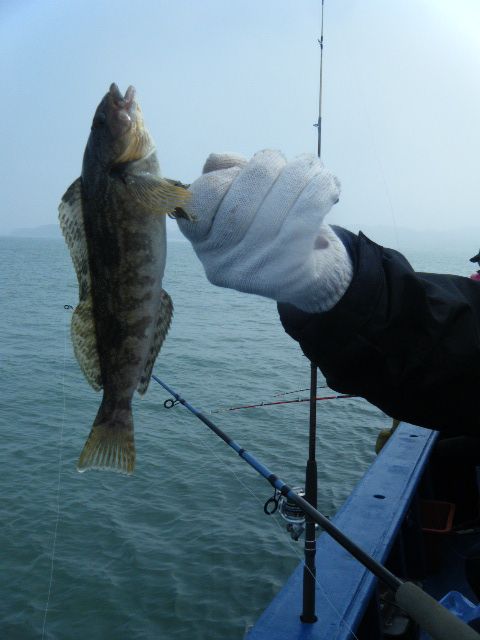 DSCF3452.JPG