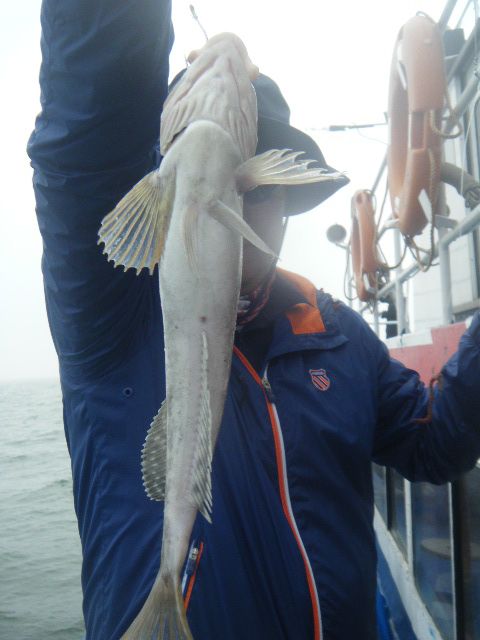 DSCF3456.JPG