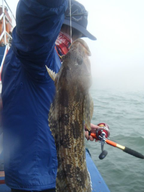 DSCF3462.JPG