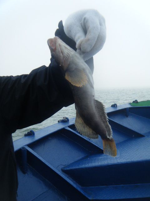 DSCF3461.JPG