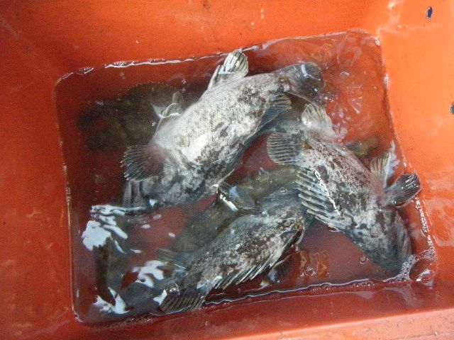 DSCF3551.JPG
