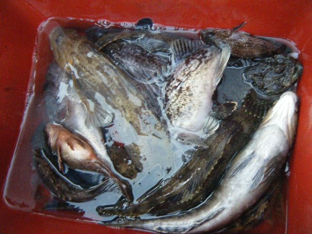 DSCF3525.JPG