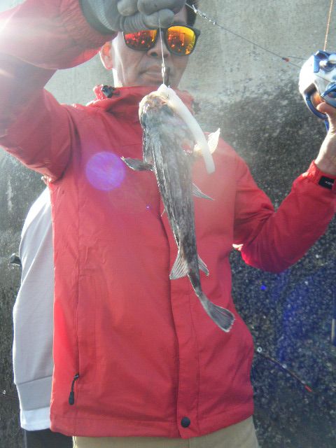 DSCF3534.JPG