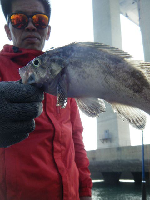 DSCF3539.JPG