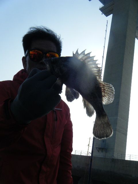 DSCF3538.JPG