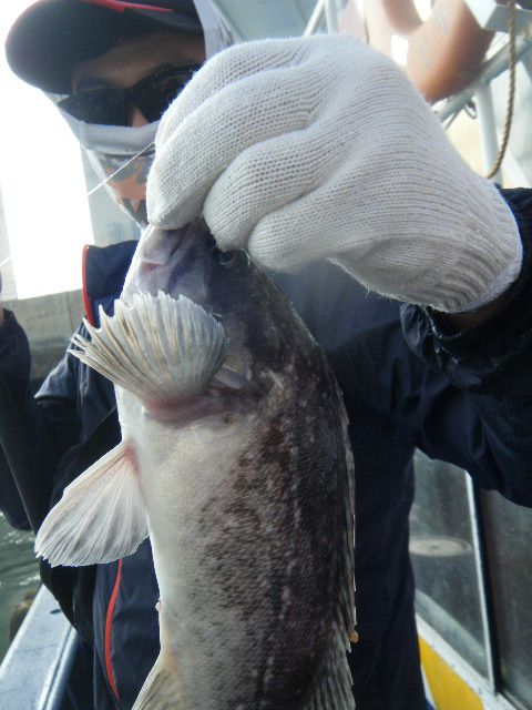 DSCF3537.JPG