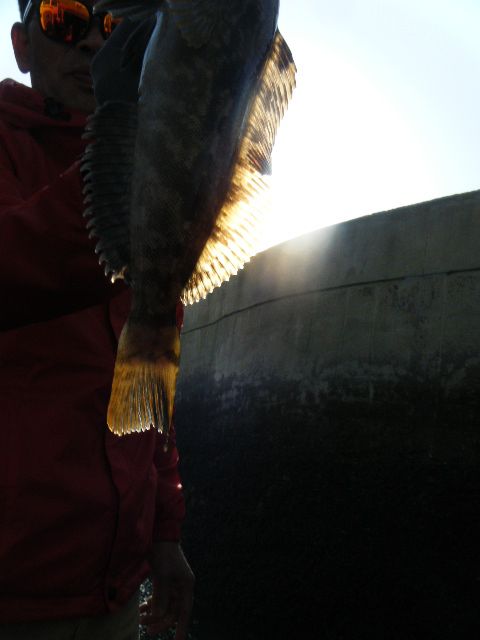 DSCF3543.JPG