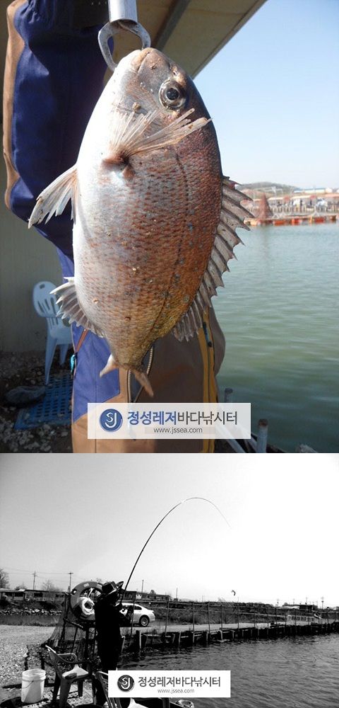 8888.jpg