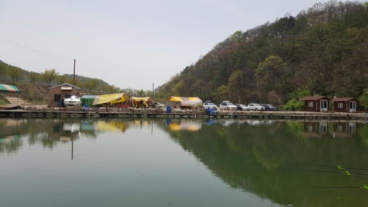 20160423_124604.jpg