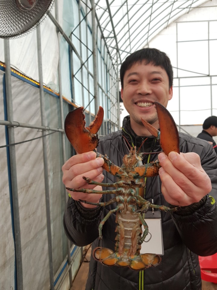 ★소래바다낚시터★ 바다낚시조황 > [소래바다낚시터] 조황정보입니다. 노지(우럭,강도다리,광어), 하우스(랍스터) 동시운영중!!! 문의전화 01..