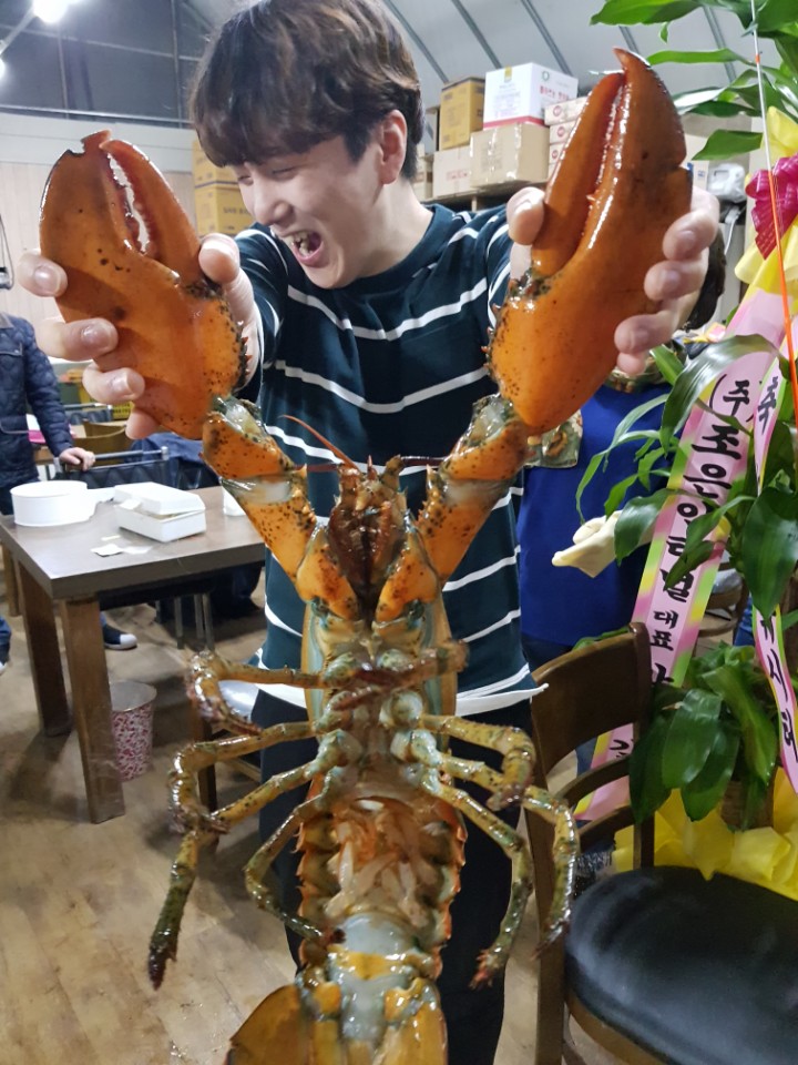 ★소래바다낚시터★ 바다낚시조황 > [소래바다낚시터] 조황정보입니다. 노지(우럭,강도다리,광어), 하우스(랍스터) 동시운영중!!! 문의전화 01..