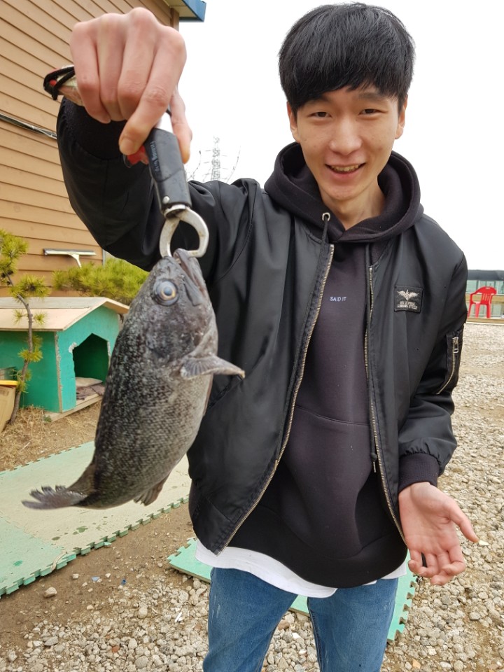 ★소래바다낚시터★ 바다낚시조황 > [소래바다낚시터] 조황정보입니다. 노지(우럭,강도다리,광어), 하우스(랍스터) 동시운영중!!! 문의전화 01..