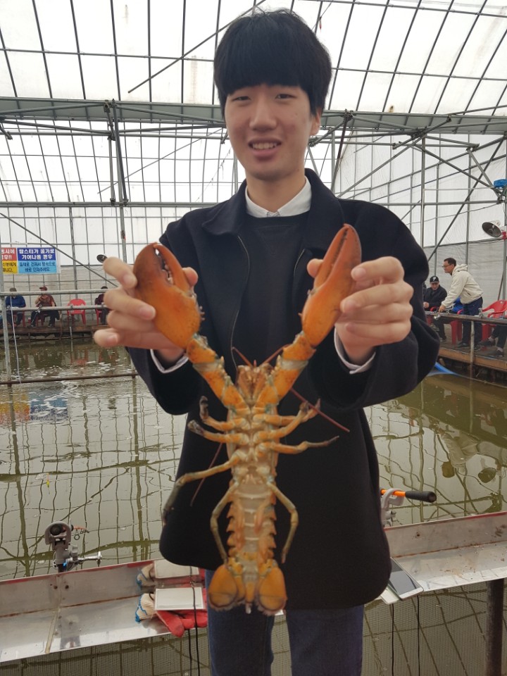 ★소래바다낚시터★ 바다낚시조황 > [소래바다낚시터] 조황정보입니다. 노지(우럭,강도다리,광어), 하우스(랍스터) 동시운영중!!! 문의전화 01..