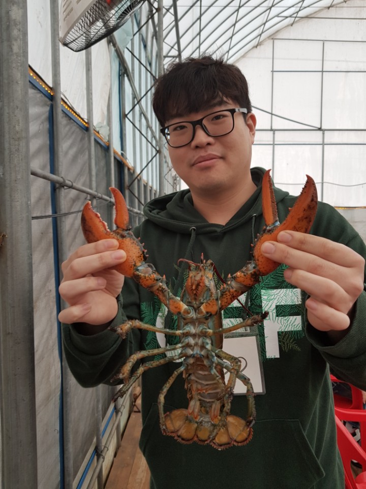 ★소래바다낚시터★ 바다낚시조황 > [소래바다낚시터] 조황정보입니다. 노지(우럭,강도다리,광어), 하우스(랍스터) 동시운영중!!! 문의전화 01..