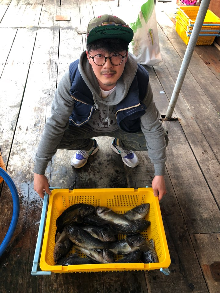 해성좌대 바다낚시조황 > 당진 해성호좌대 4월1일 조황정보 : 낚시사랑