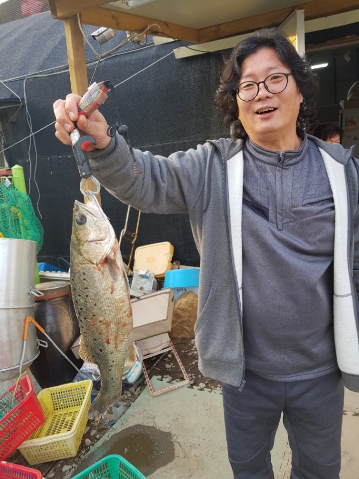 ★소래바다낚시터★ 바다낚시조황 > 인천 [소래바다낚시터], [소래랍스터하우스] 조황정보입니다. (하우스,노지 동시 운영중) : 낚시사랑