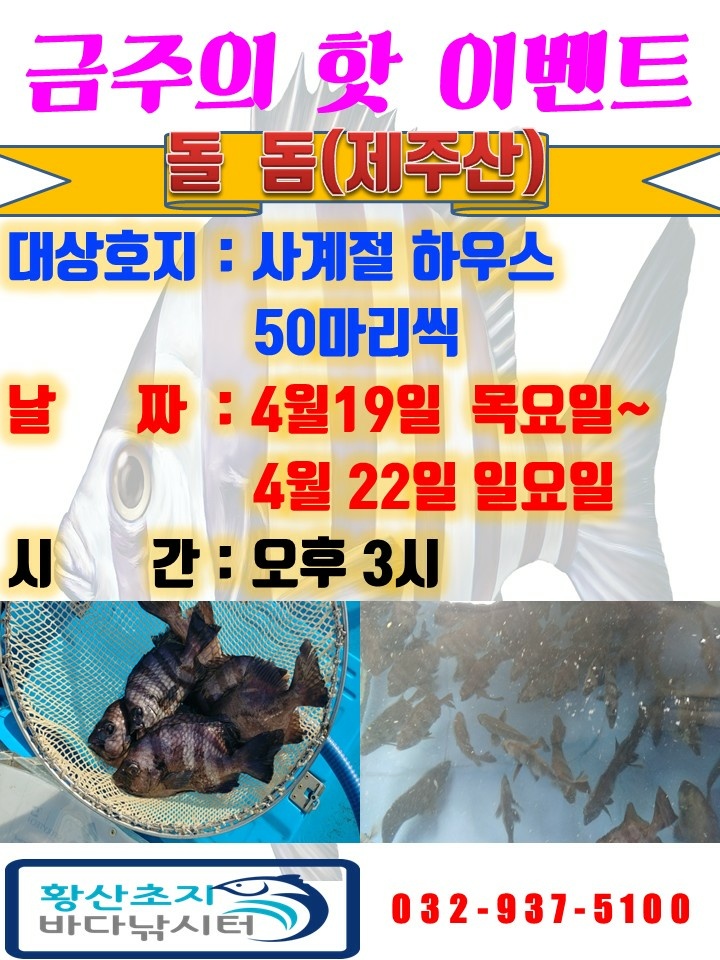 황초사계절 바다낚시조황 > 황산 초지 사계절 바다낚시터 4월18일 조황정보 : 낚시사랑