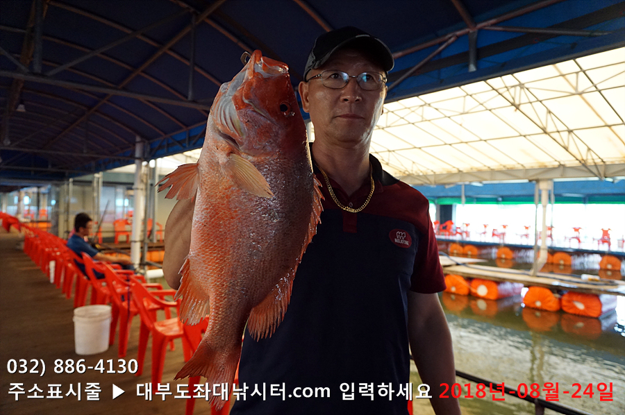 대부도바다낚시터 바다낚시조황 > 대부도수상바다좌대낚시터 2018년 8월 24일 금요일 홍돔 병어돔 점성어등 조황 : 낚시사랑