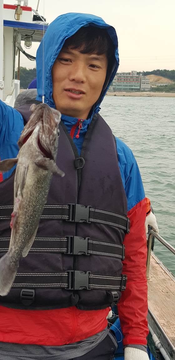 해안선낚시 바다낚시조황 > 장고항해안선우럭조황사진 : 낚시사랑  해안선낚시 바다낚시조황 > 장고항해안선우럭조황사진 : 낚시사랑