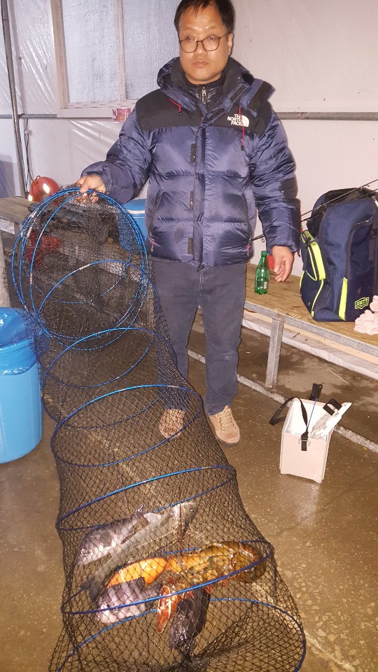 황초사계절 바다낚시조황 > 황산 초지 사계절 주말이벤트및 1월11일조황정보 : 낚시사랑