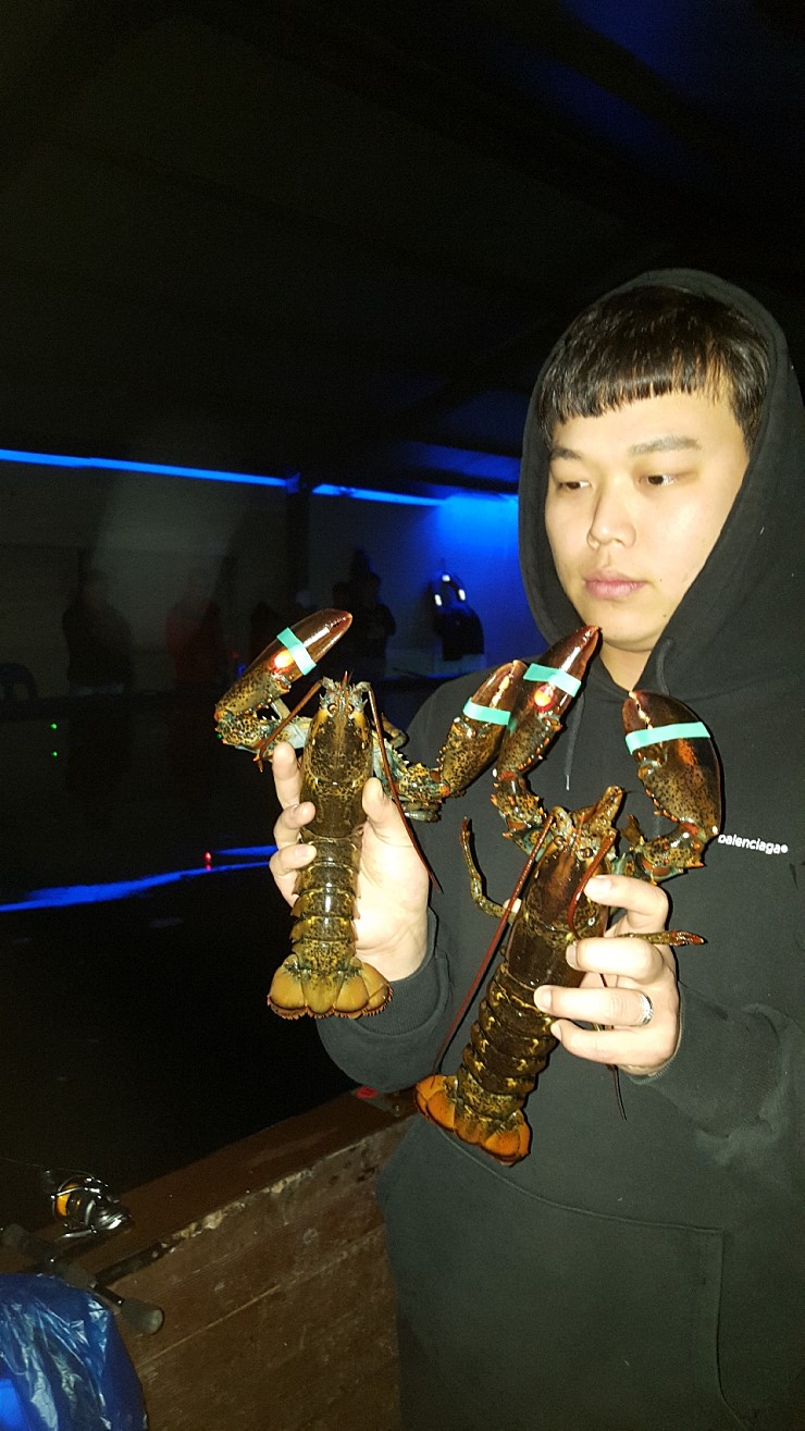 19.jpg