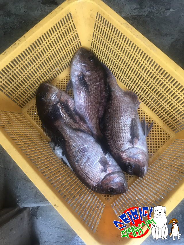 KakaoTalk_20190514_223921050_14.jpg