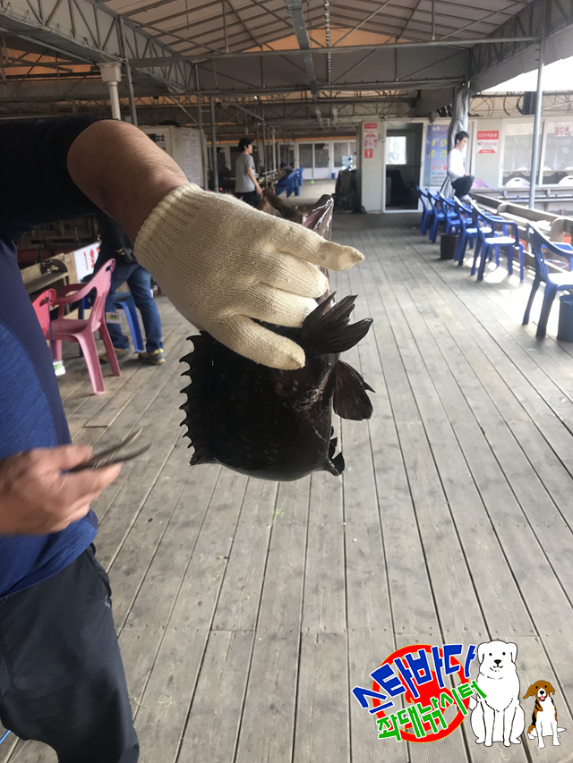 KakaoTalk_20190514_223921050_10.jpg