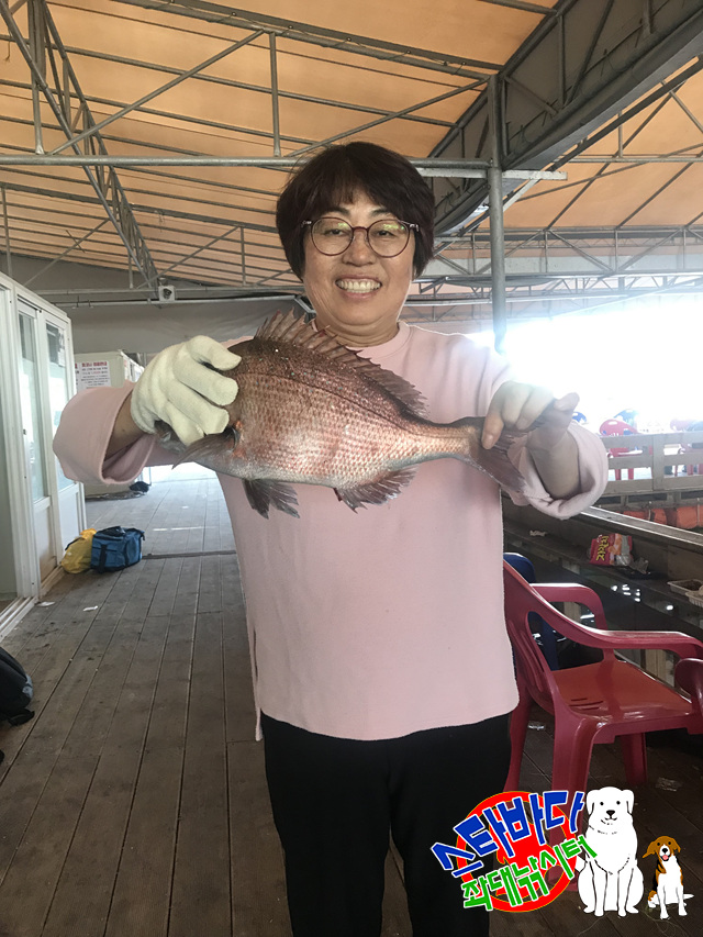 KakaoTalk_20190514_223921050_13.jpg