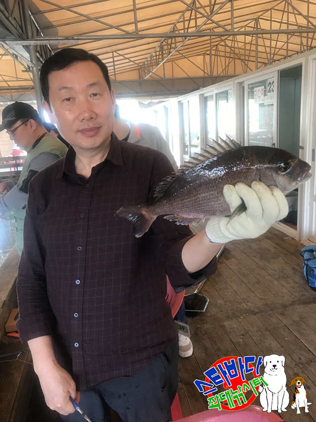 KakaoTalk_20190514_223921050_17.jpg