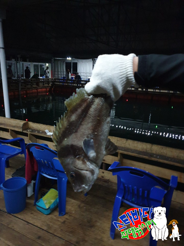 KakaoTalk_20190515_065901194_04.jpg